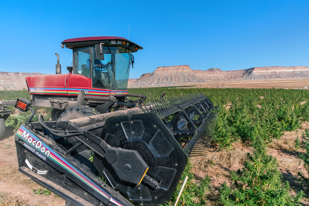 This image has an empty alt attribute; its file name is image-5.png